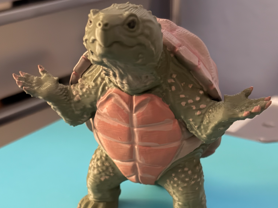 Snappy - The Snapping Turtle