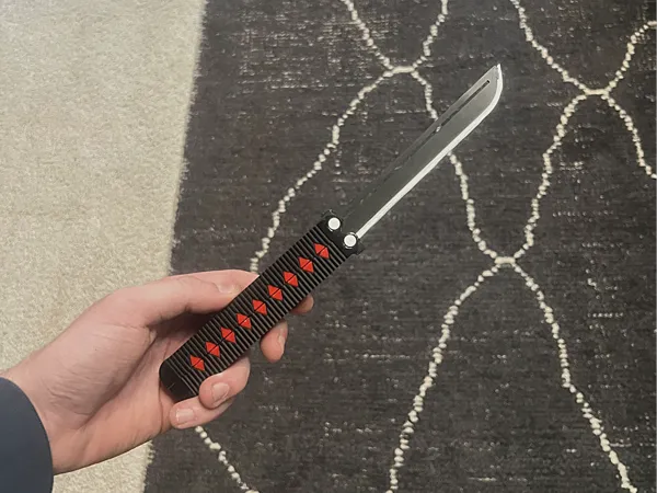 https://makerworld.bblmw.com/makerworld/model/USde77b892bd676/design/2025-02-20_23fb64d43adbb.jpg