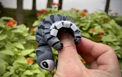 https://makerworld.bblmw.com/makerworld/model/USde7916390014d2/327557091/ratings/07719aed14bfbcf3a6277d15b559a96b.jpg