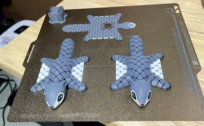 https://makerworld.bblmw.com/makerworld/model/USde7916390014d2/327557091/ratings/48829eaa93dd2db71a84cb0f4d02145f.jpg