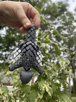 https://makerworld.bblmw.com/makerworld/model/USde7916390014d2/327557091/ratings/b7807cac00a68e5cd91e5fdc91228cdd.JPG