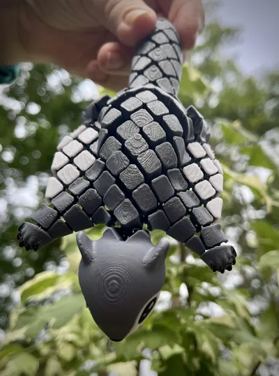https://makerworld.bblmw.com/makerworld/model/USde7916390014d2/327557091/ratings/c32efc19cc821f78d372c3955936f5fa.jpg