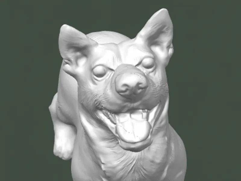 Kleiner Hund