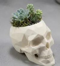 Pot de fleurs crâne low poly — photo 3