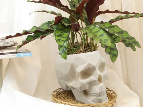 Pot de fleurs crâne low poly