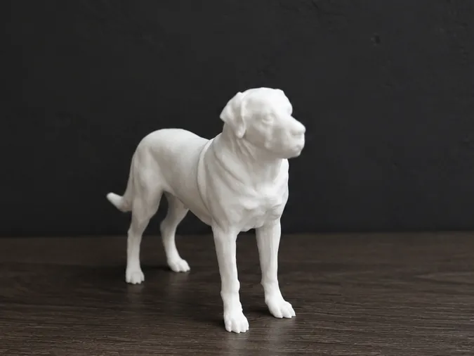 The Sarabi dog - Animal