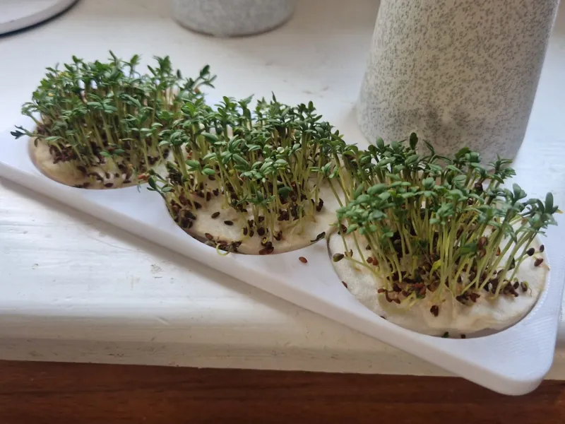 Cress holder