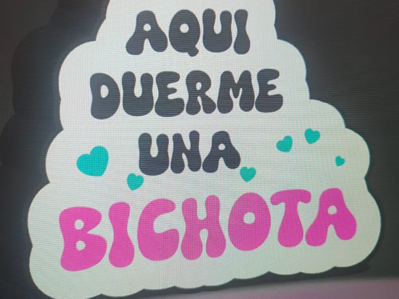 logo caja luz bichota