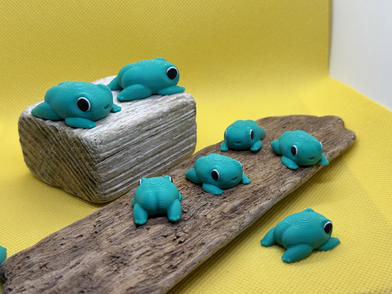 Tiny Butt Frog view 3