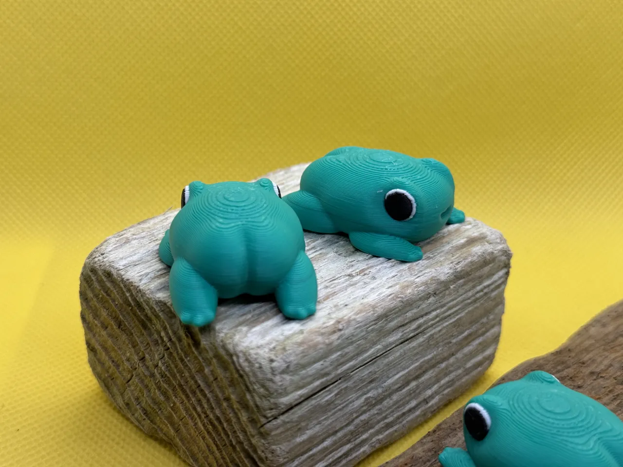 Tiny Butt Frog view 2