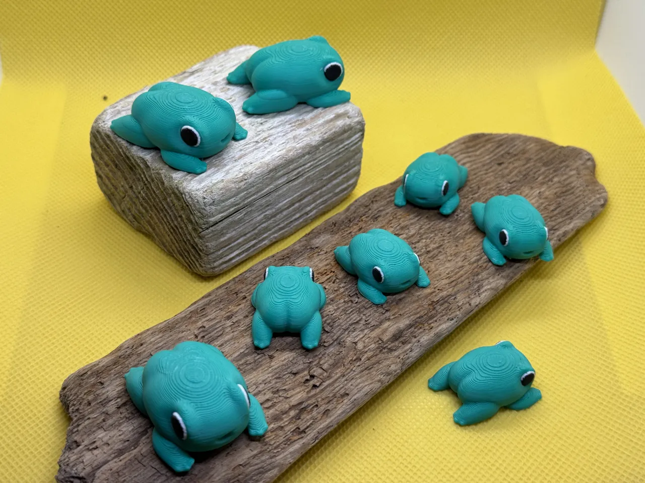 Tiny Butt Frog view 4