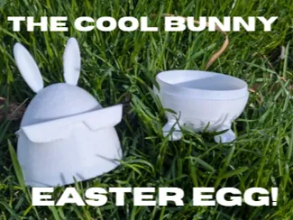 COOL BUNNY EGG