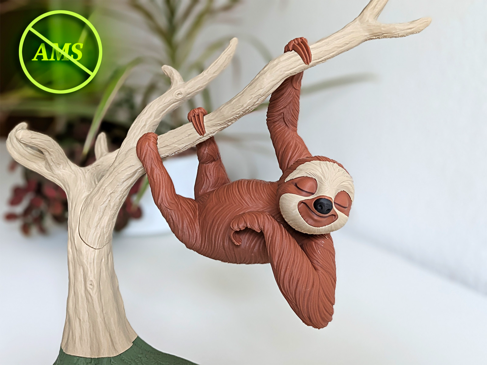 Simon The Snoozing Sloth