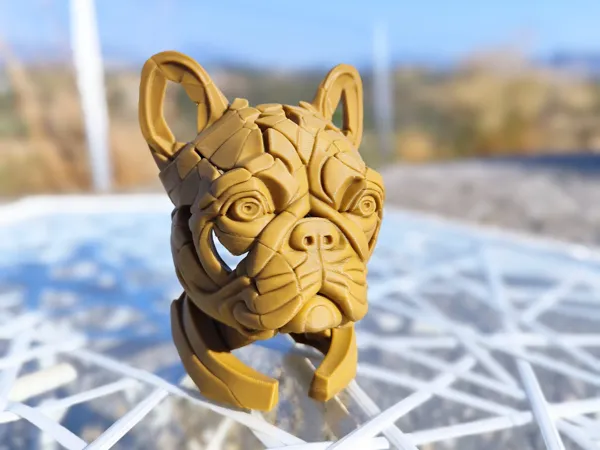 https://makerworld.bblmw.com/makerworld/model/USde9feead4e4e61/design/2025-08-12_5b1537a0bc0478.jpg