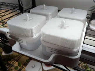 Seedling Tray Set