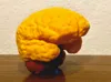 3 Colors, Anatomical Brain for H2S