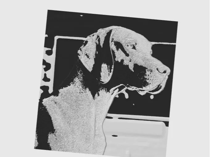 Vizsla lithophane