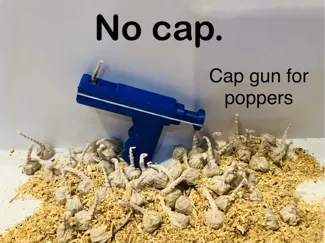 No Cap. | Cap gun for TNT poppers