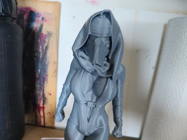 https://makerworld.bblmw.com/makerworld/model/USdeaef607020614/design/2025-05-24_765e8f5f597b68.jpg