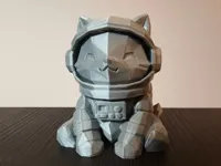 Chat astronaute low-poly — photo 3