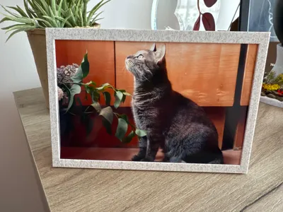 Simple & elegant photo frame (10cmx15cm) 