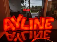 0.2mm layer, 3 walls, 10% infill