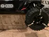 Bear Claw Alpha