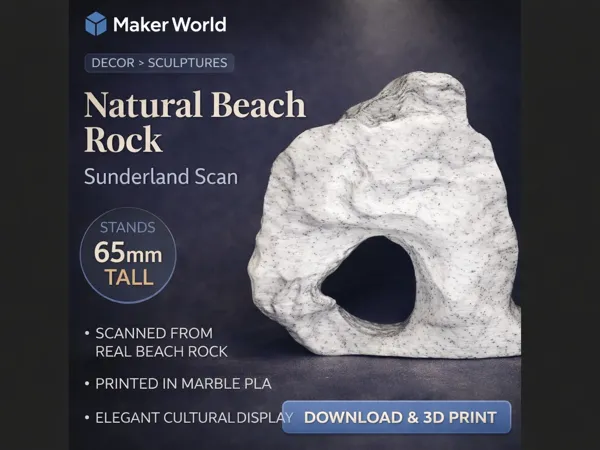https://makerworld.bblmw.com/makerworld/model/USdec79da4b19469/design/2026-01-02_49ad81c2055698.jpg