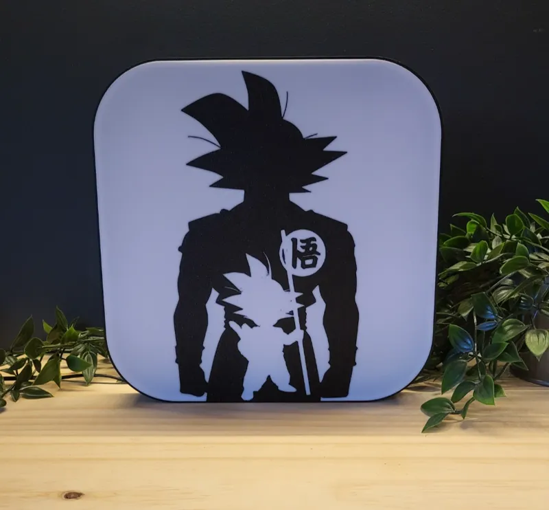 boite lumineuse sangoku