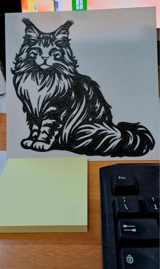 Maine Coon cat
