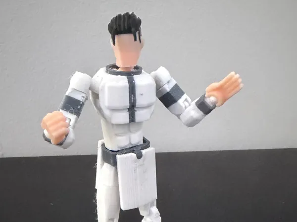 https://makerworld.bblmw.com/makerworld/model/USded62a4bd76d57/design/eae56d88ce122f0e.png
