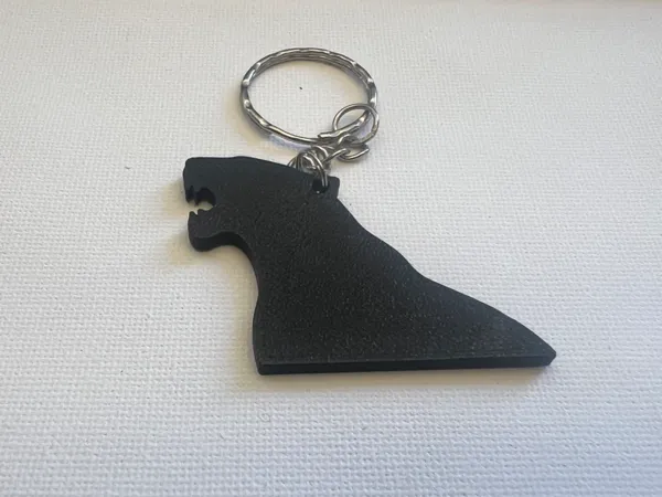 https://makerworld.bblmw.com/makerworld/model/USded831ca37297b/design/d41b7b76e7c42de3.jpeg