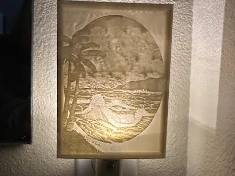 Palm Trees, Ocean Waves (hand painted pic by me)