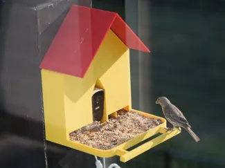 High Capacity Feeder Bird House for Eufy 2C Camera