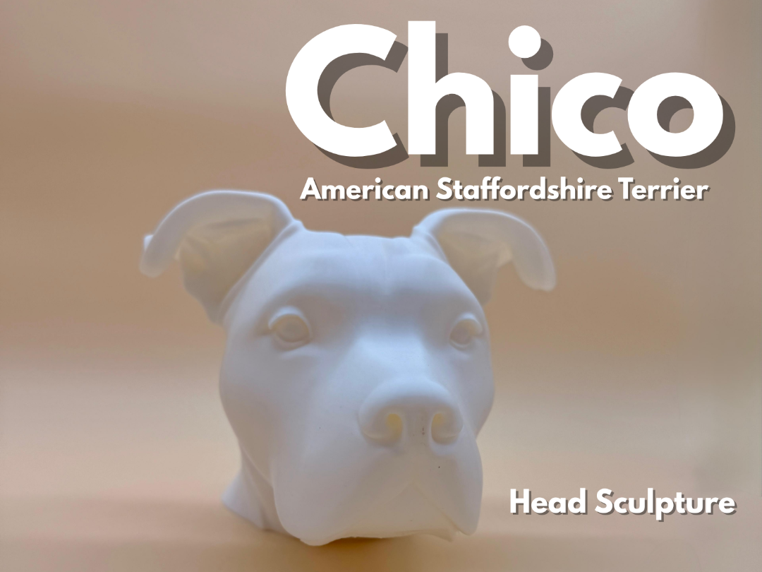 American Staffordshire Terrier Head Sculpture