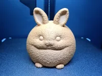 0.2mm layer, 3 walls, 5% infill