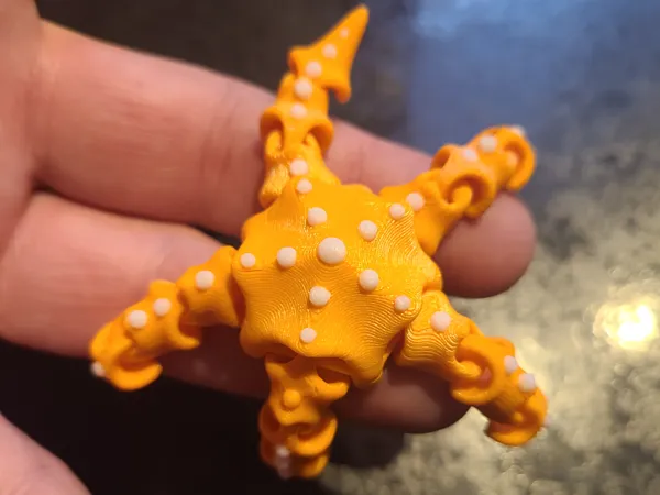 https://makerworld.bblmw.com/makerworld/model/USdede83d6abb153/design/2025-12-10_0f18b6d2c10c68.jpg