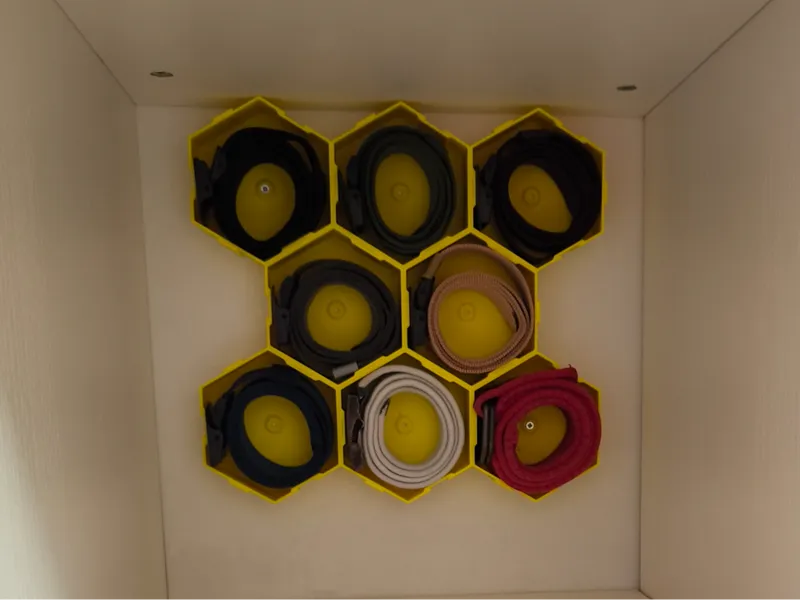 HEX Belt Organizer - Wardrobe Belt Compartments