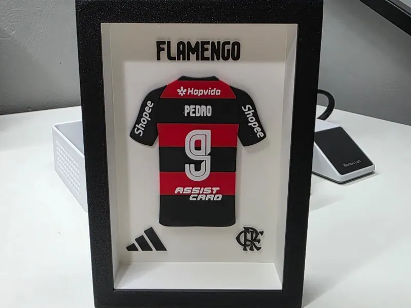 Quadro – Camisa do Flamengo - PEDRO