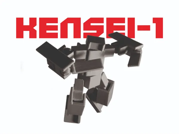 https://makerworld.bblmw.com/makerworld/model/USdef1bf53d2f81f/design/2025-12-30_135c3472ee7dc8.jpg