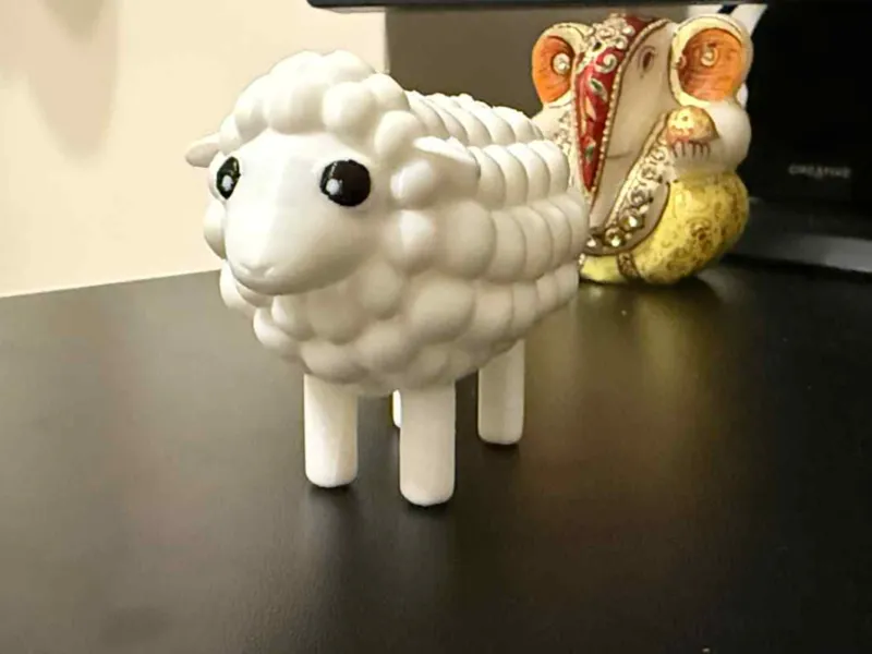 Cute sheep