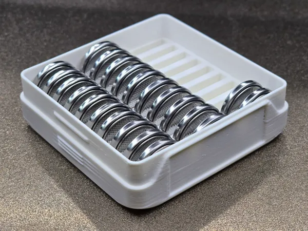 https://makerworld.bblmw.com/makerworld/model/USdef9077a488911/design/2025-02-21_02843853f2b9b.jpg