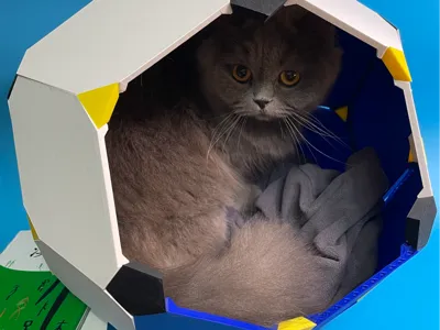 Rhombic Triacontahedron Cat House