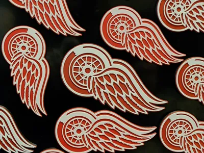 Detroit Red Wings Magnet (Low Waste)