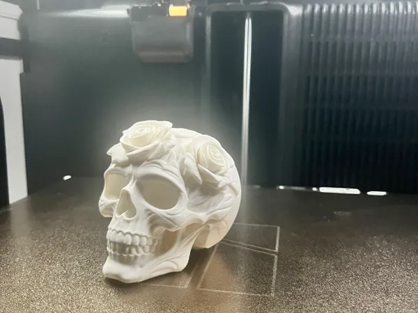 https://makerworld.bblmw.com/makerworld/model/USdf0474edfb94c8/design/2025-07-14_f3da649b582d8.jpeg