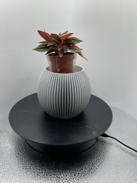 0.2mm layer, 3 walls,