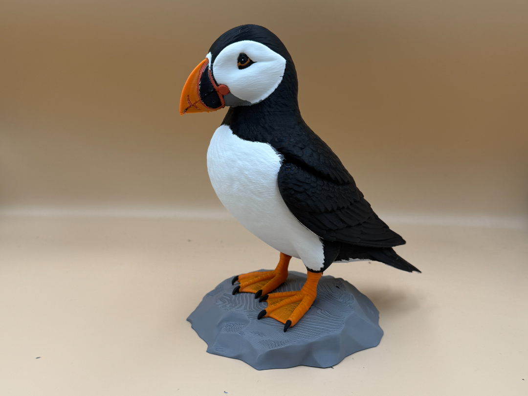 Cliffside Puffin 3D model