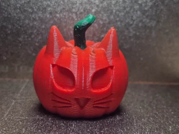 Zucca Gatto Halloween