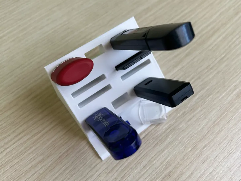 Organizzatore chivette USB e schede SD