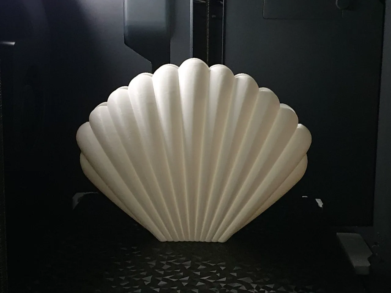 Sea Shell Vase view 4